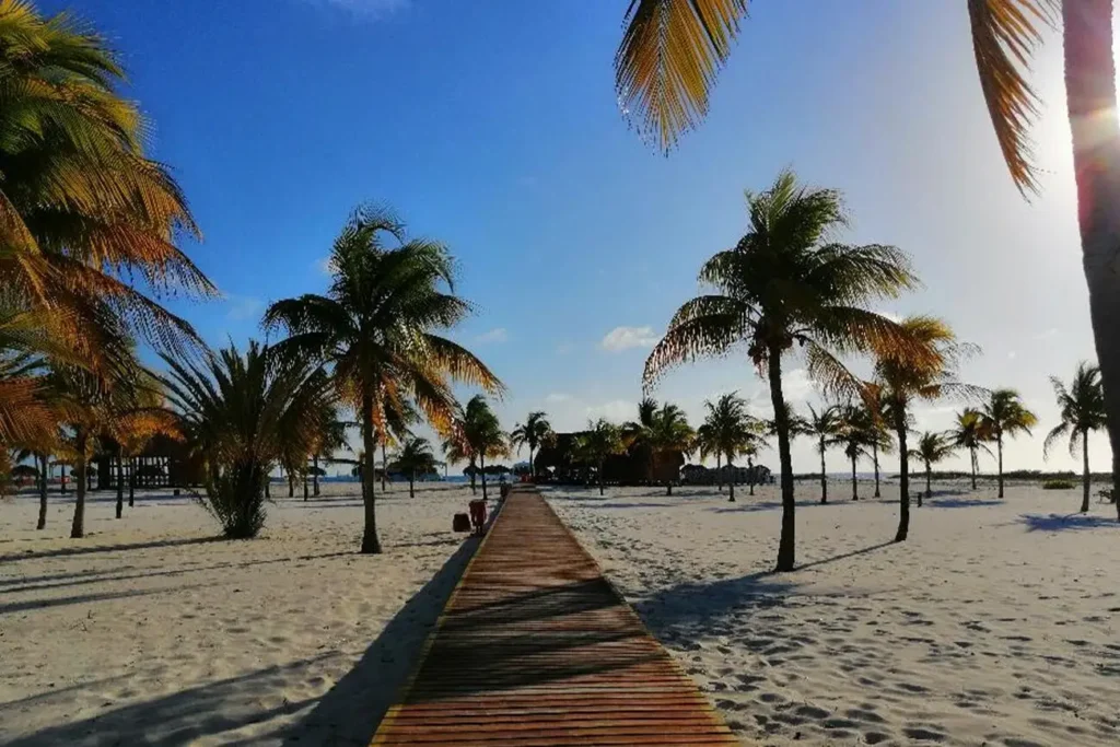 5BTJ6WO2KFCHZP6Q5SLKUEQIVU