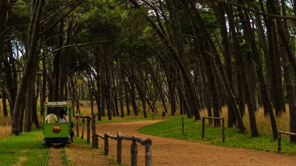 Foto-Parque-Miguel-Lillo